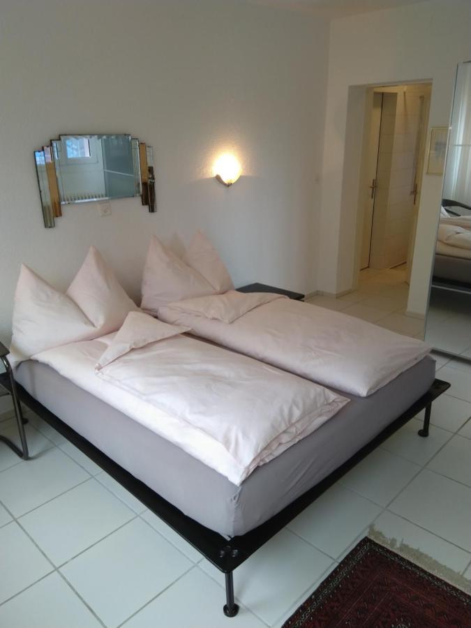 Bed and Breakfast Swiss Borzoi House Vully-les-Lacs Exterior foto