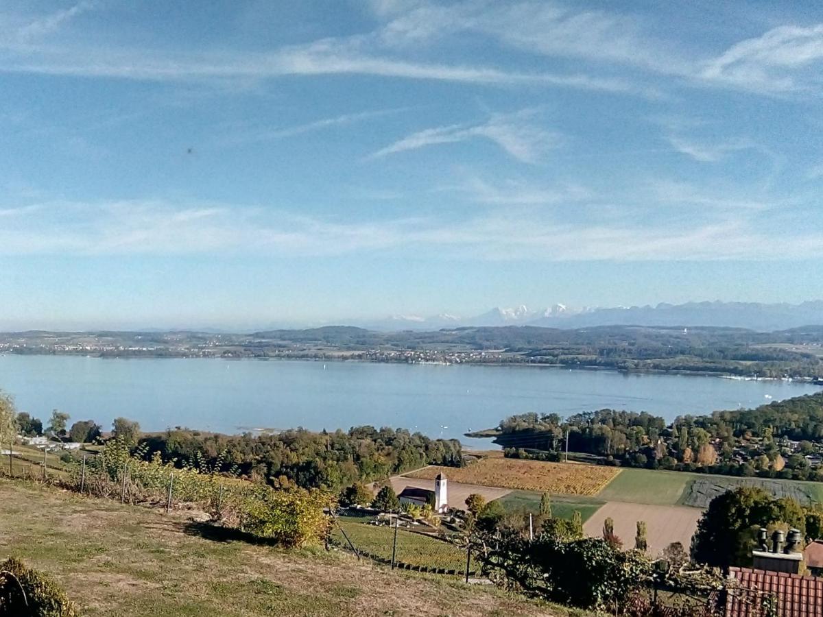 Bed and Breakfast Swiss Borzoi House Vully-les-Lacs Exterior foto