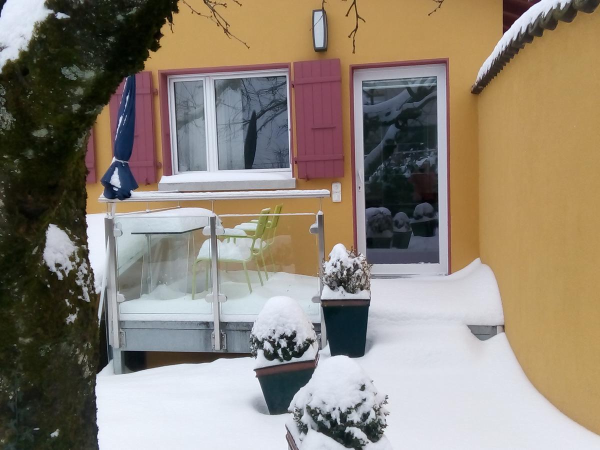 Bed and Breakfast Swiss Borzoi House Vully-les-Lacs Exterior foto