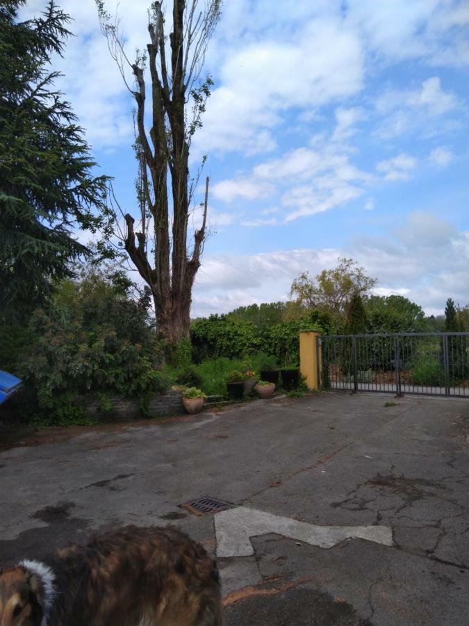 Bed and Breakfast Swiss Borzoi House Vully-les-Lacs Exterior foto